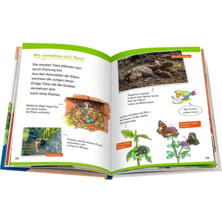 Ravensburger Wieso? Weshalb? Warum? Erstleser, Band 10:In der Natur
