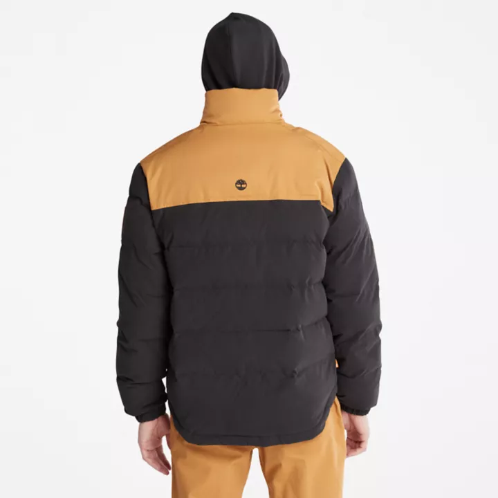 Doudoune Welch Mountain pour homme en noir/jaune