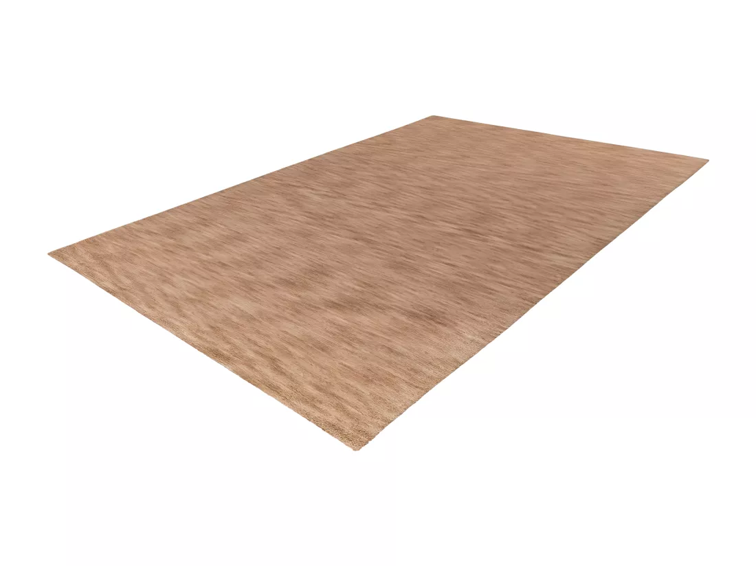Tapis 290x200cm, design C007Y coloris beige - Confort et élégance pour votre intérieur