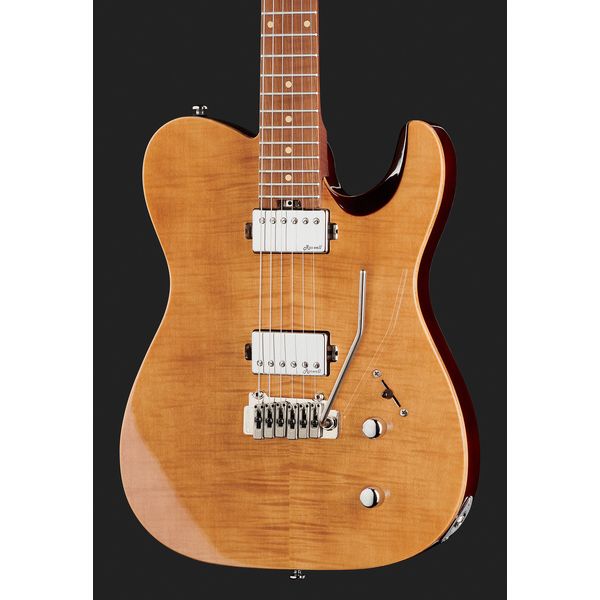 Harley Benton Fusion-T HH Roasted FNT Bundle