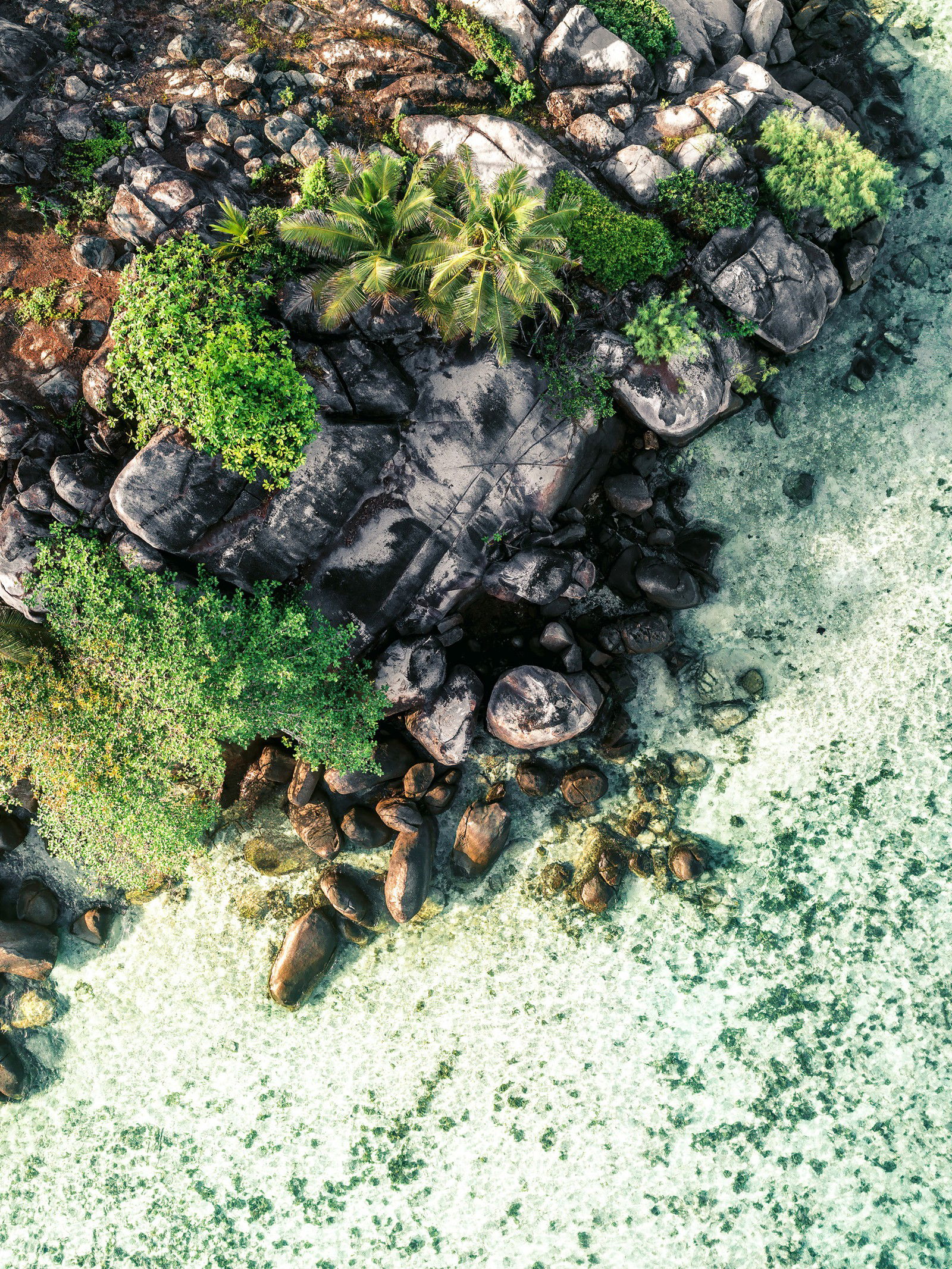 Tropical Dream by Kevin Krautgartner - Limited Edition. Edition of: 150. Signed.
