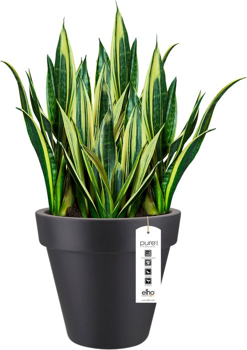 Elho bloempot Pure antraciet D 49 H 44,4 cm