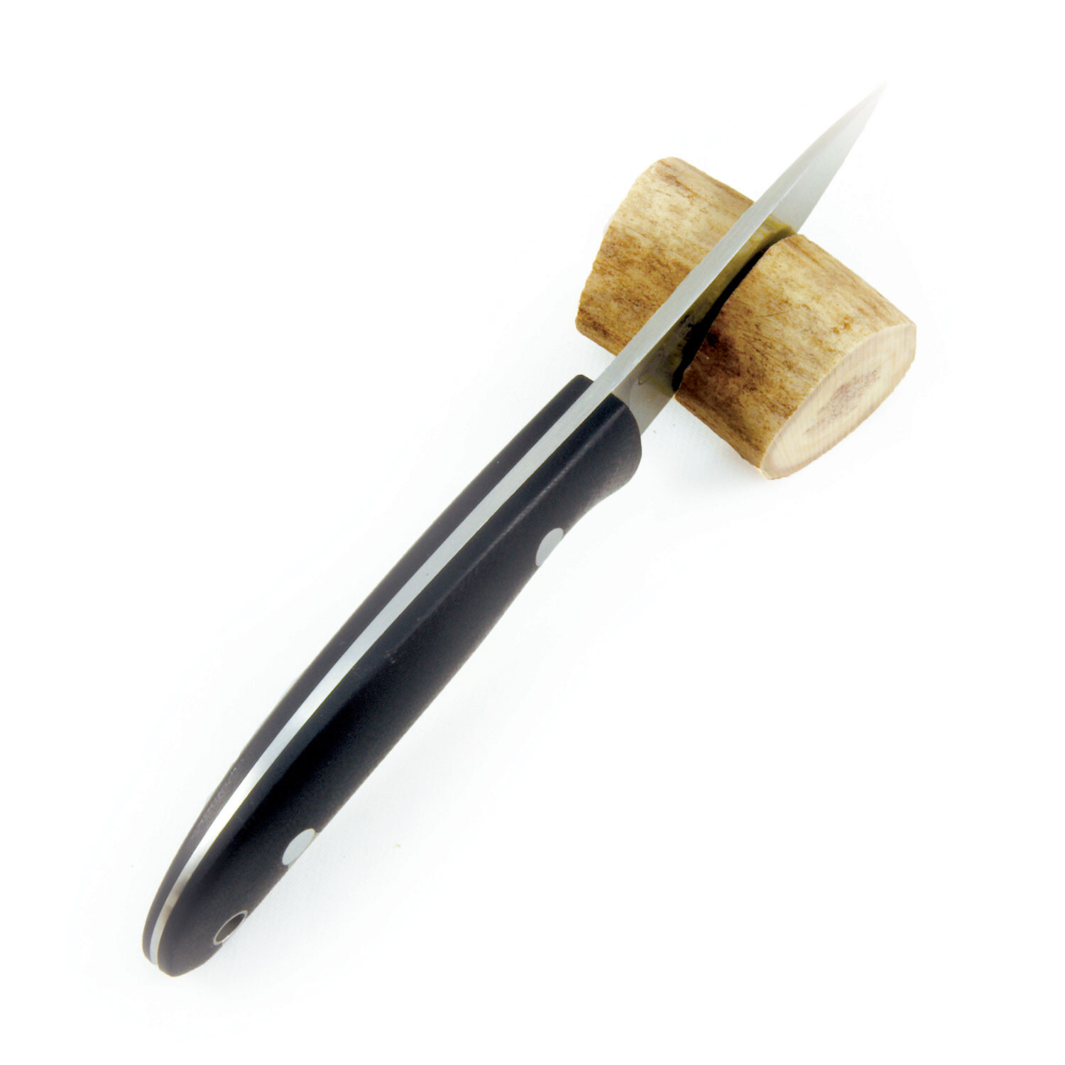 Casström Safari G10