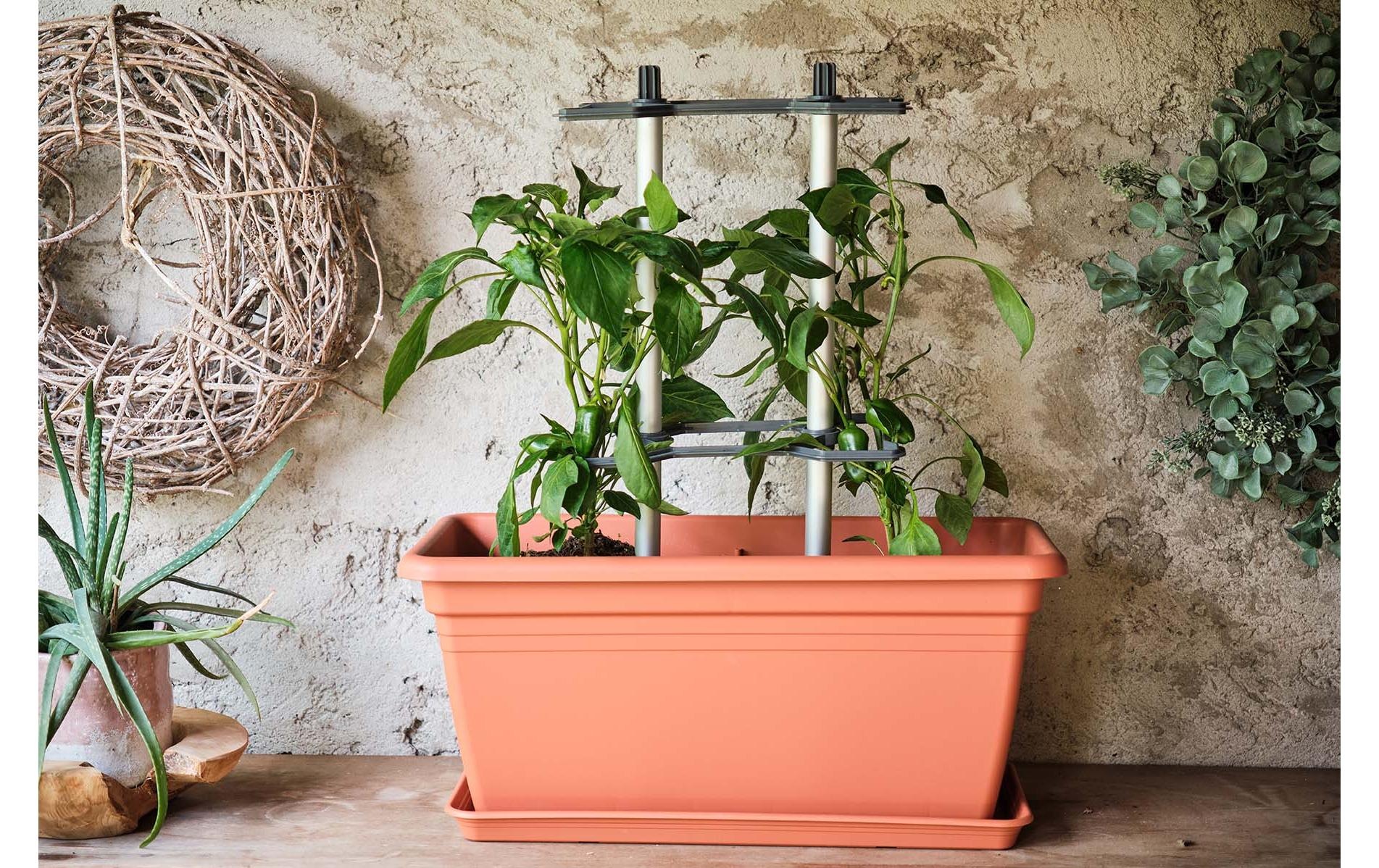 Gusta Garden Rankhilfe »CHILI BUDDY Rankhilfe für Chilis & Paprika Silber«