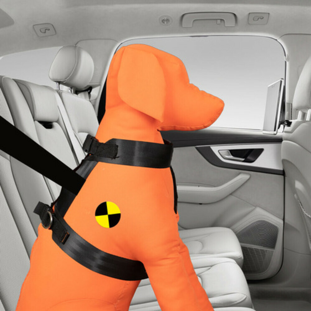 Trailstone Dog Seat Belt Medium