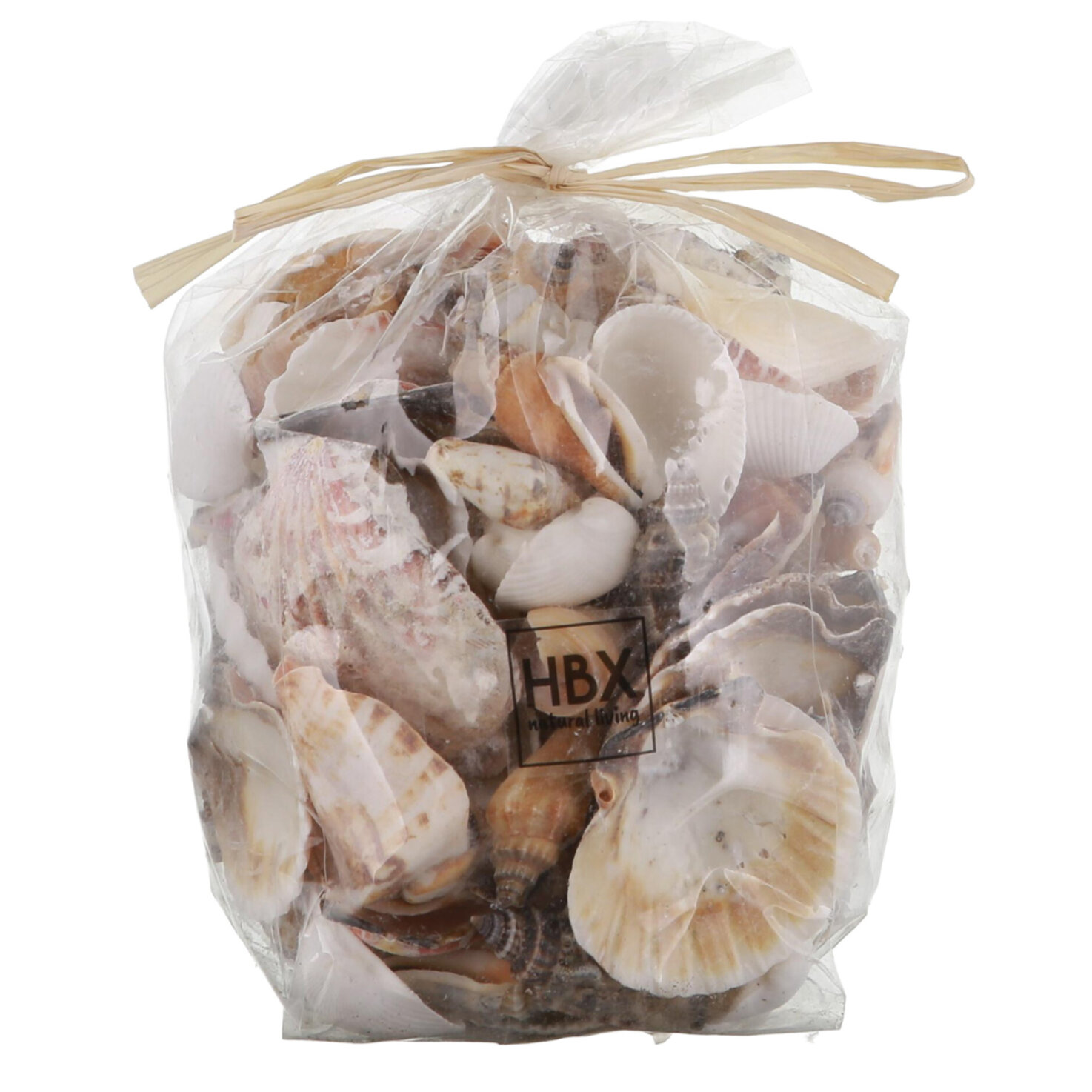 Deko Muschelset