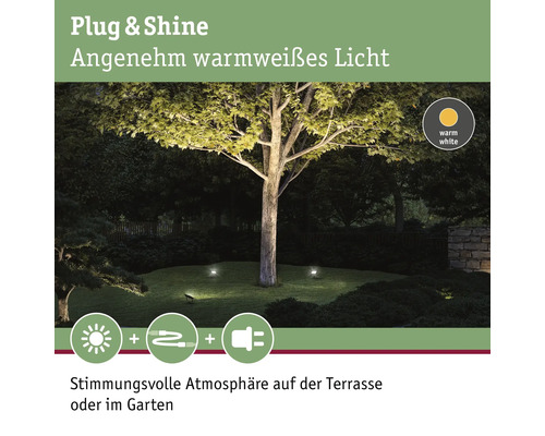 Paulmann Plug & Shine Grondpen IP65 15,5W 1400 lm 3000K Flood zwart