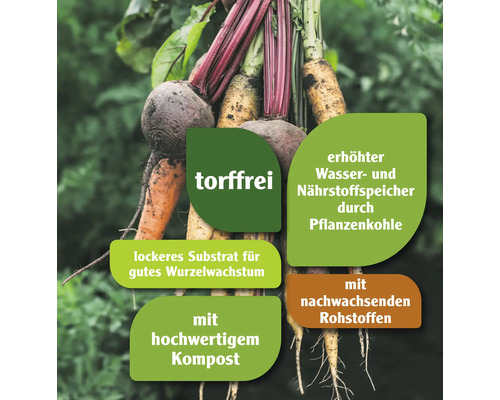 FloraSelf Nature 40 L turfvrije verhoogde bed- en groentegrond met biochar