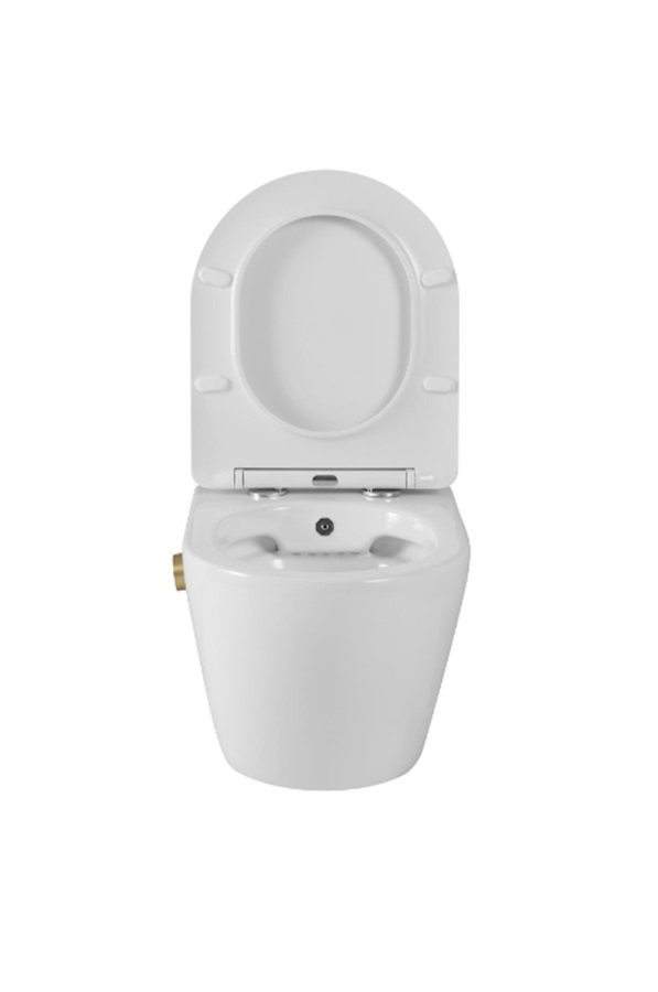 DTG Livorno douche wc met gouden bidetkraan en softclose zitting wit glans