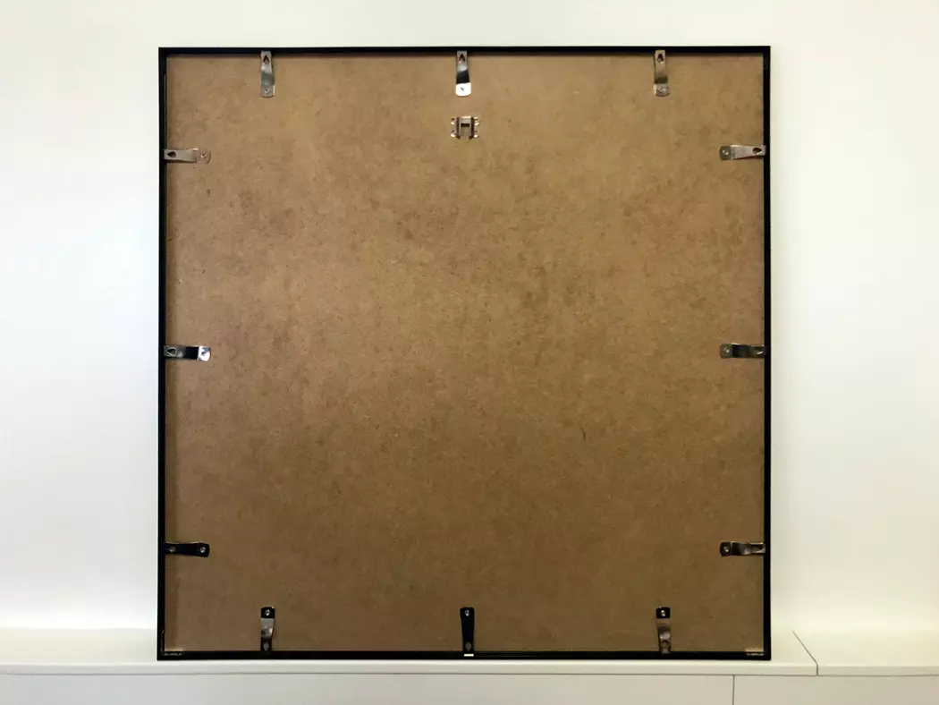 Wandbild 70 x 70 cm Darwin’s Preoccupations
