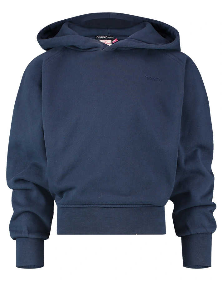 Kapuzen-Sweatshirt G-BASIC in dark blue
