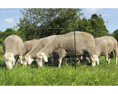 Kerbl OviNet dubbelpuntig schapennet 50 m x 90 cm groen