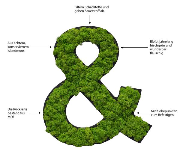 styleGREEN Sonderzeichen 'Und' aus Islandmoos,
