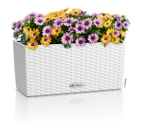 LECHUZA® Kunststoff-Kasten Balconera Cottage,