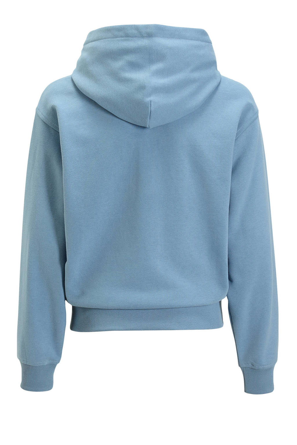 Calvin Klein hoodie met logo lichtblauw