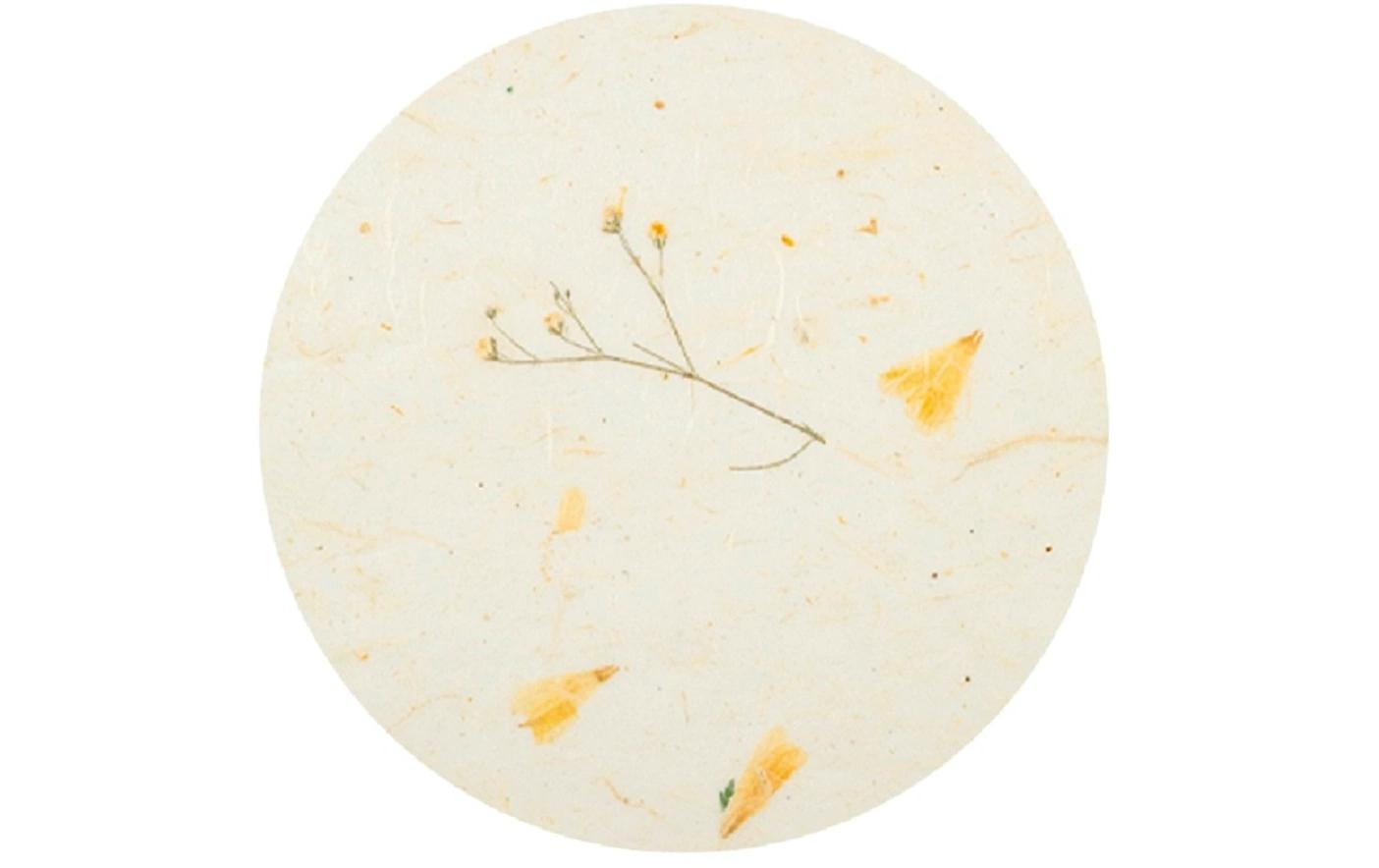 Papier-Set Natur DaisyBatselpapier