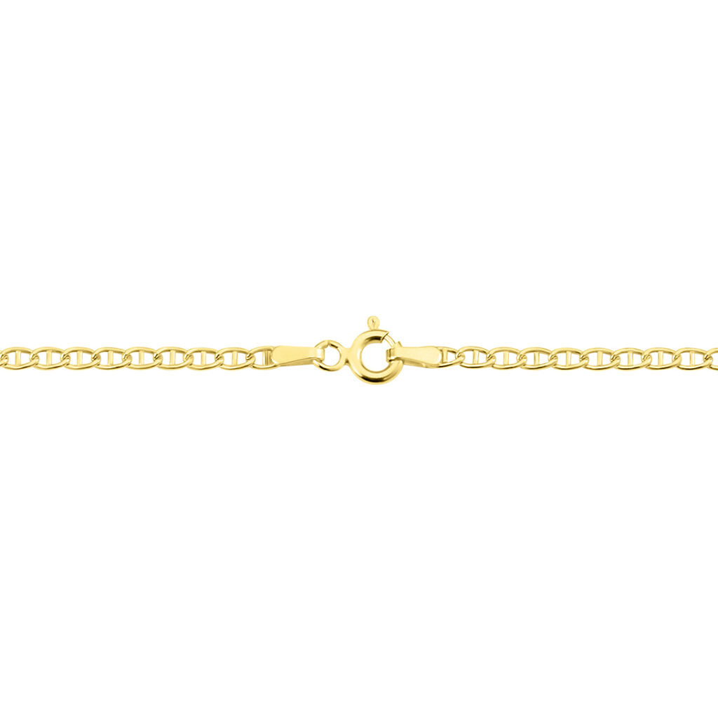 Collier Capucin Maille Marine Plate Or Jaune