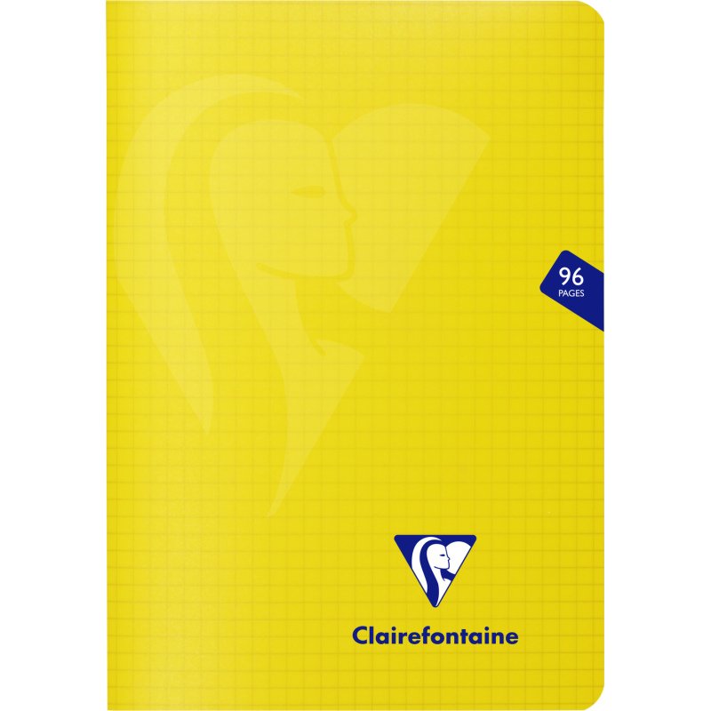 Carnet piqué Clairefontaine Mimesys 14,8 x 21 cm assorti aléatoire 5 x 5 - 96 pages