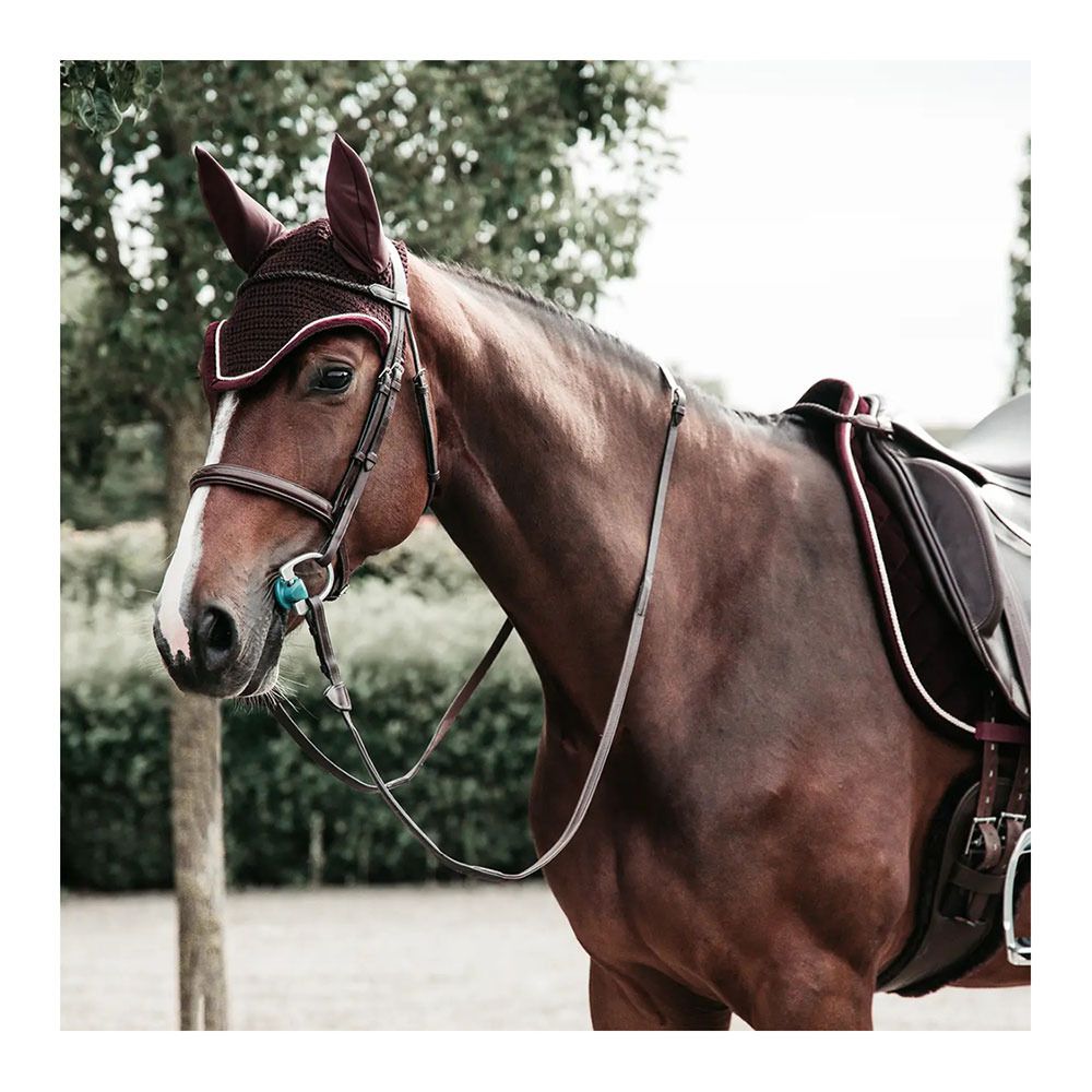 Kentucky CORDUROY - Tapis dressage bordeaux