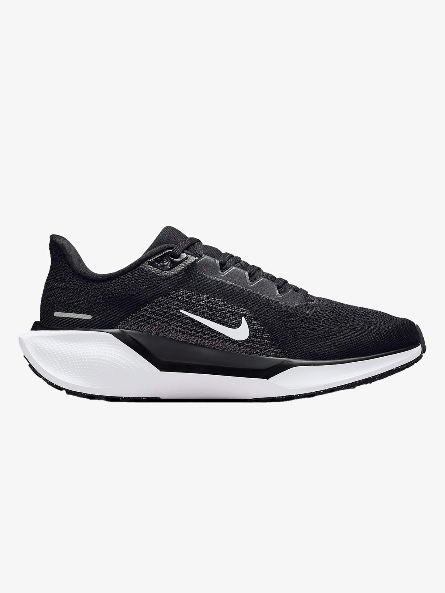 Pegasus 41