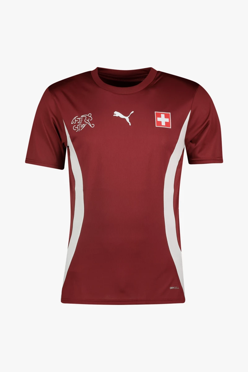 Puma Schweiz Prematch Herren T-Shirt