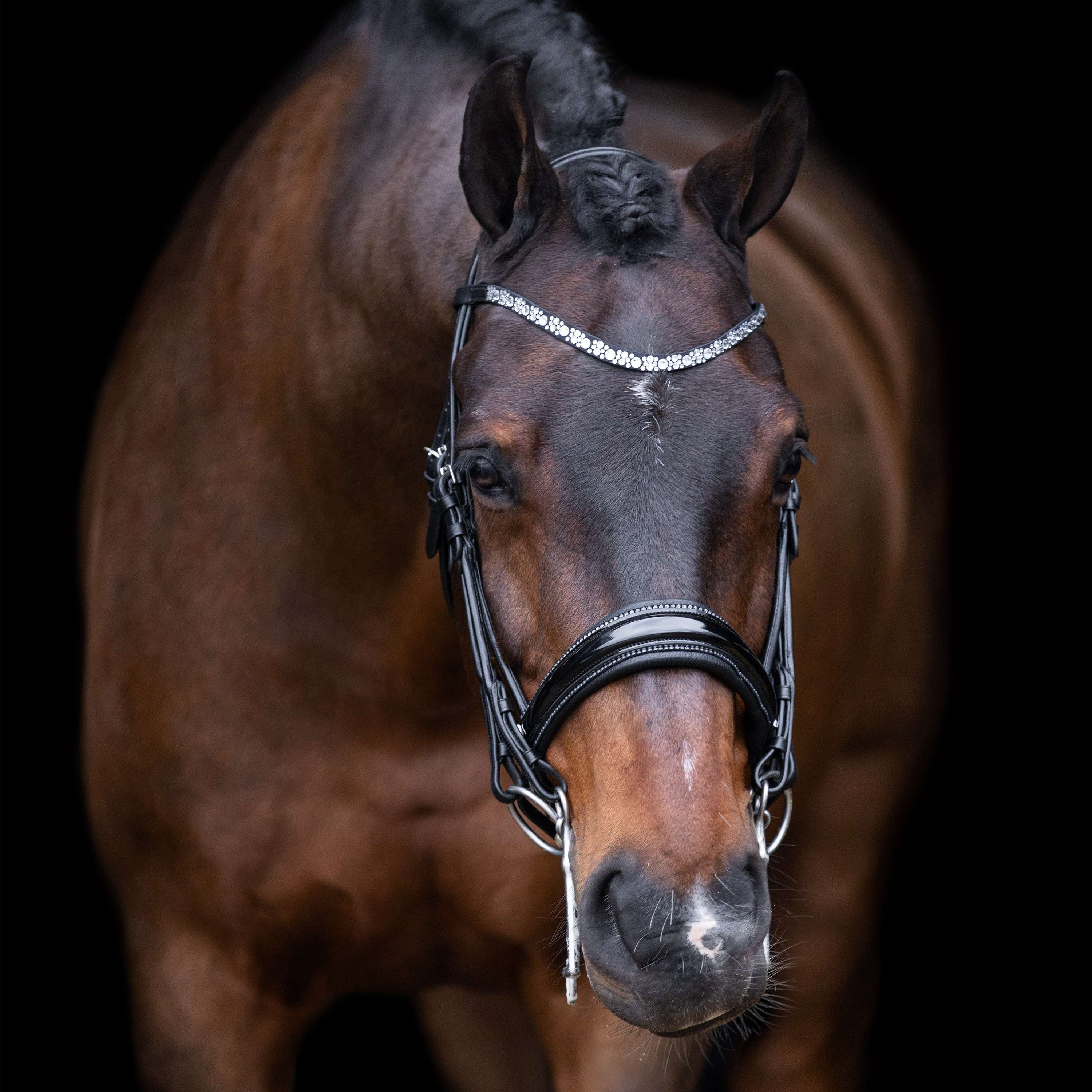 Imperial Riding Stang- en Trenshoofdstel IRHOlympia Zwart/Zilver