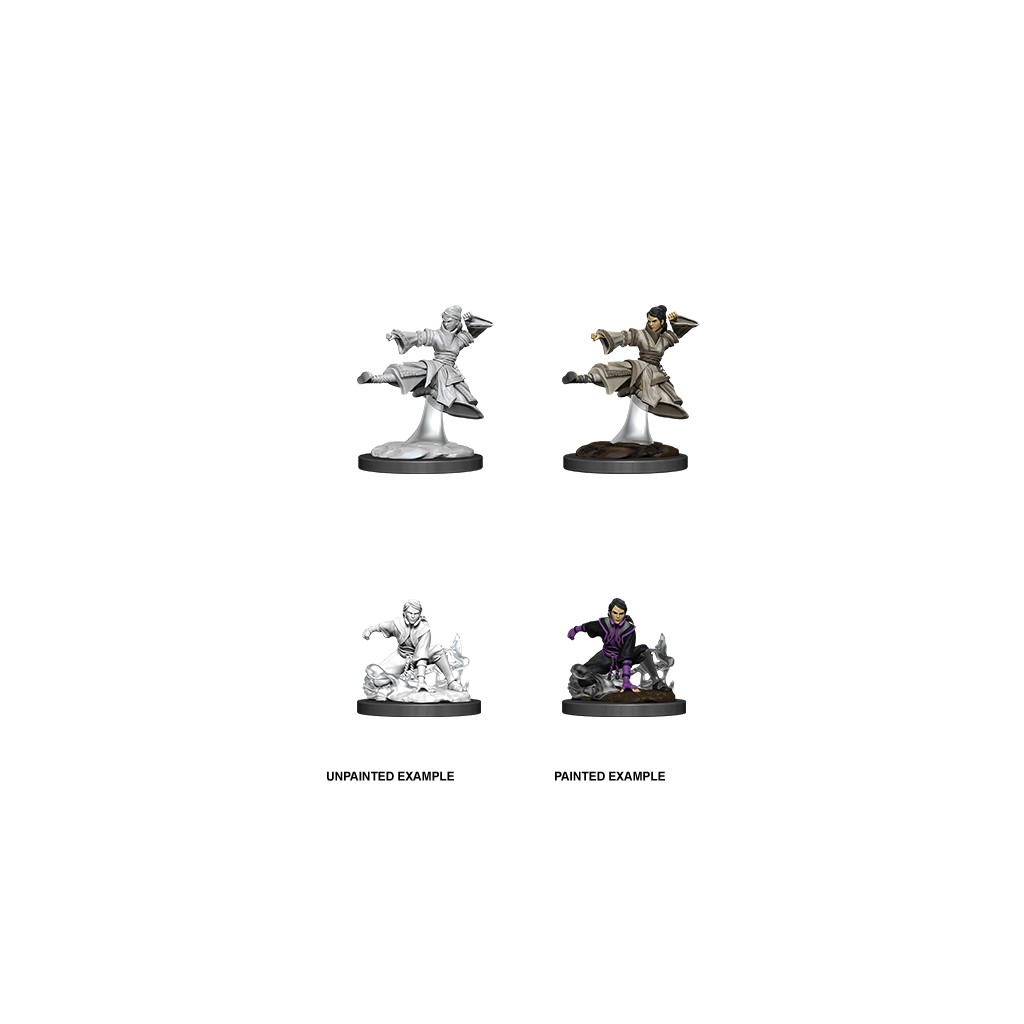 D&D Nolzur's Marvelous Unpainted Miniatures: Female Human Monk