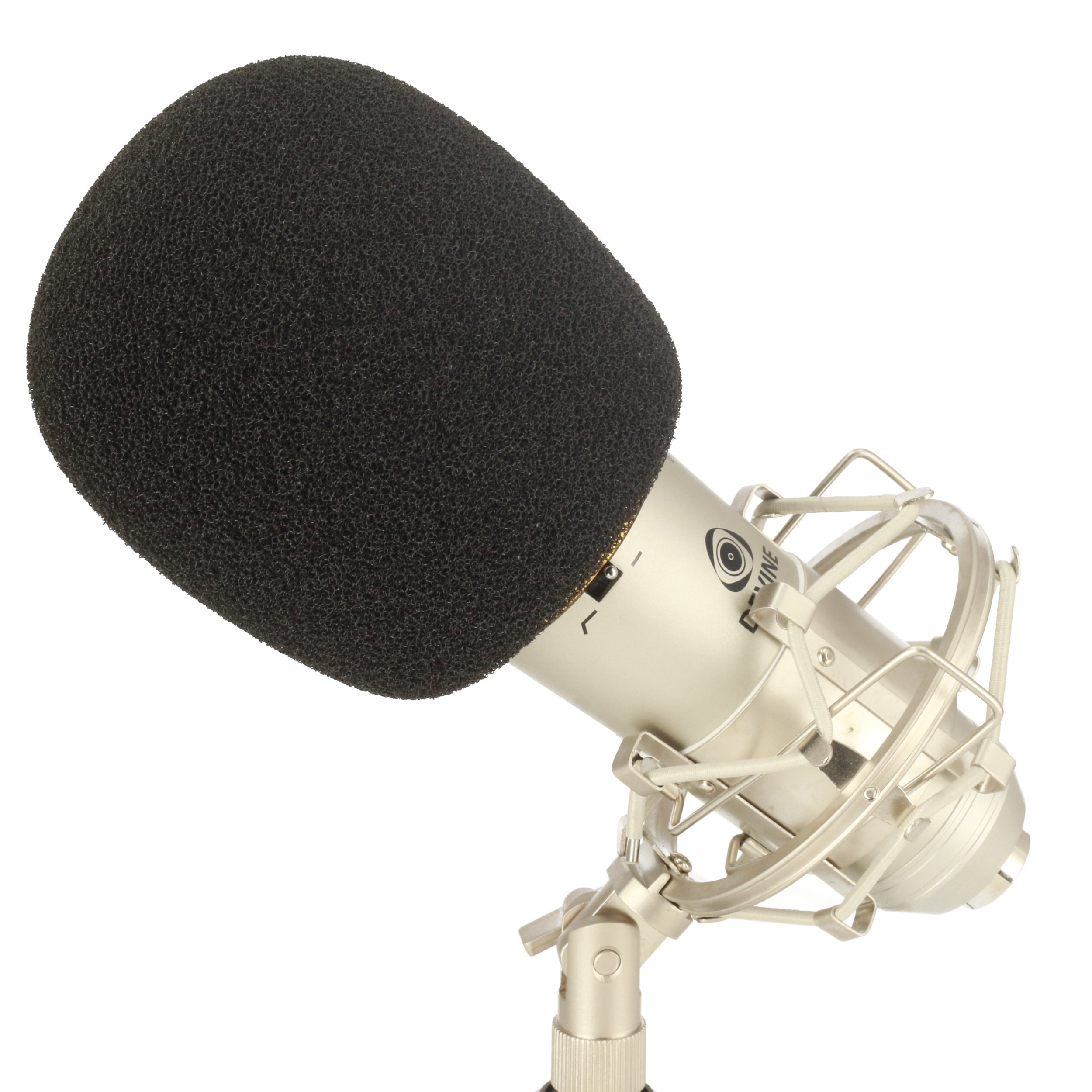 Devine WS 10 microfoon windkap