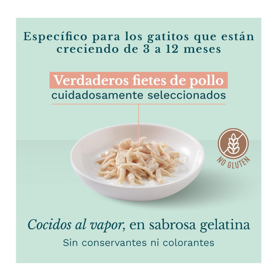 Sachê de 85g de ração para gatinhos Schesir sabor frango.