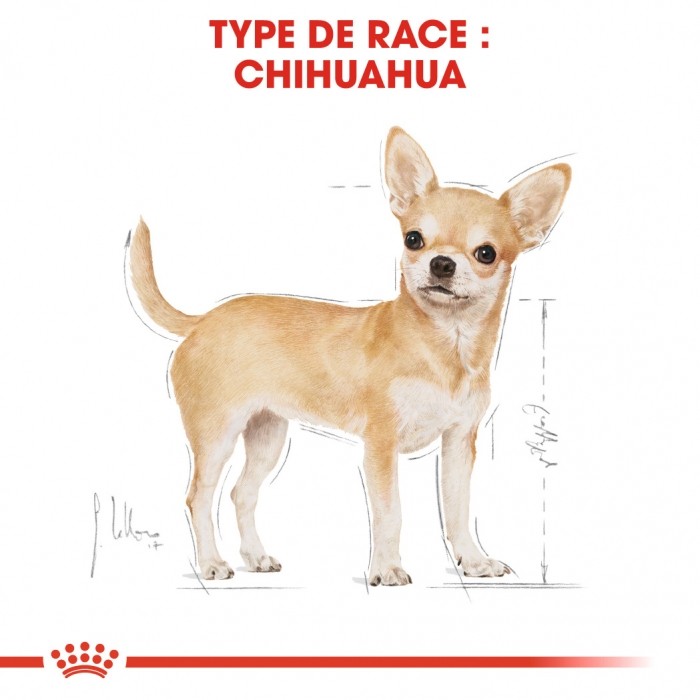 Royal Canin Chihuahua - Pâtée pour chien