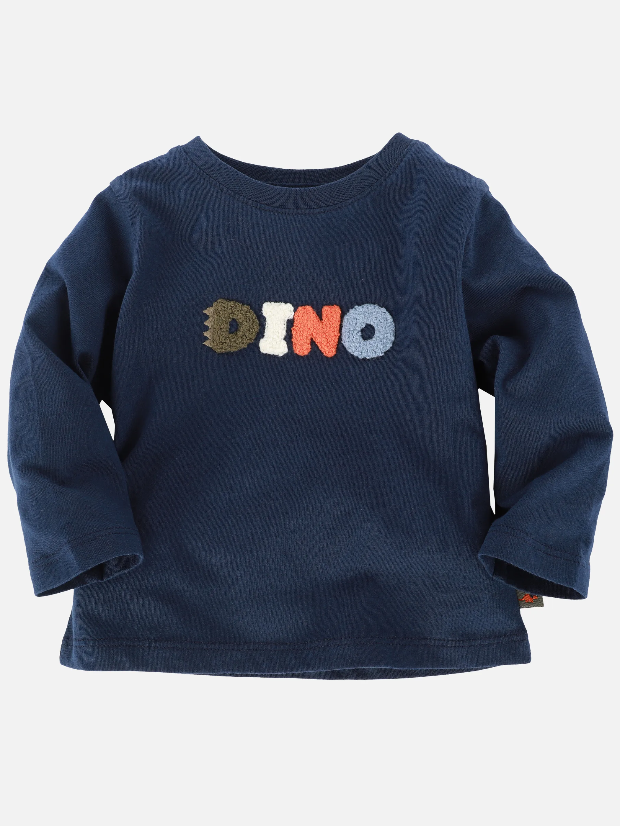 Baby Sweatshirt mit Dino-Flockschriftzug