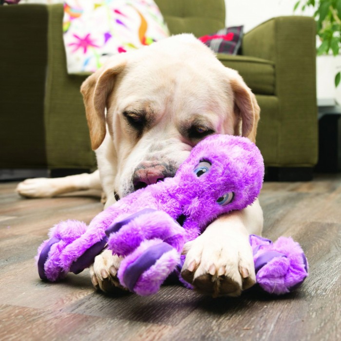 Peluche SoftSeas KONG