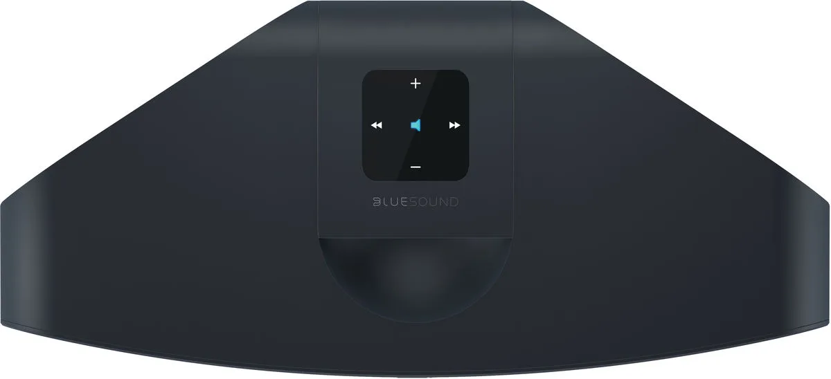 Bluesound Pulse 2i Noir Enceintes connectées