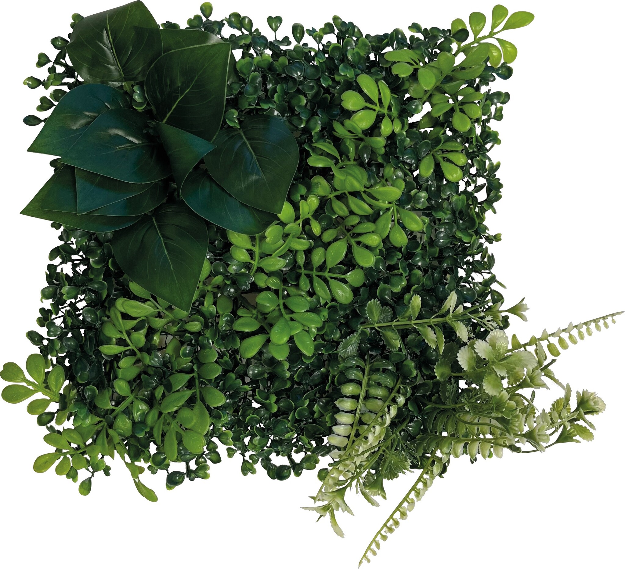 Repto Terrarium Achterwand Planten Mat 2 25x25cm