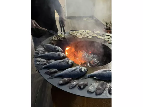 Barbecue FIESTA ISLAND GRIS 75 cm