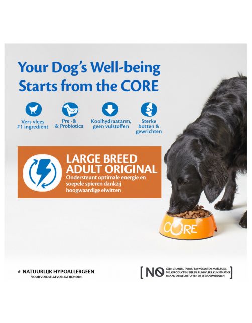 Wellness Core Grain Free Dog Large Breed Adult Kip - Hondenvoer