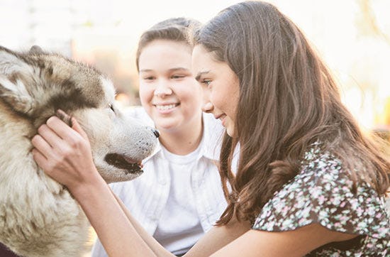 Husky-Knuddeltag in Goch als Geschenkidee