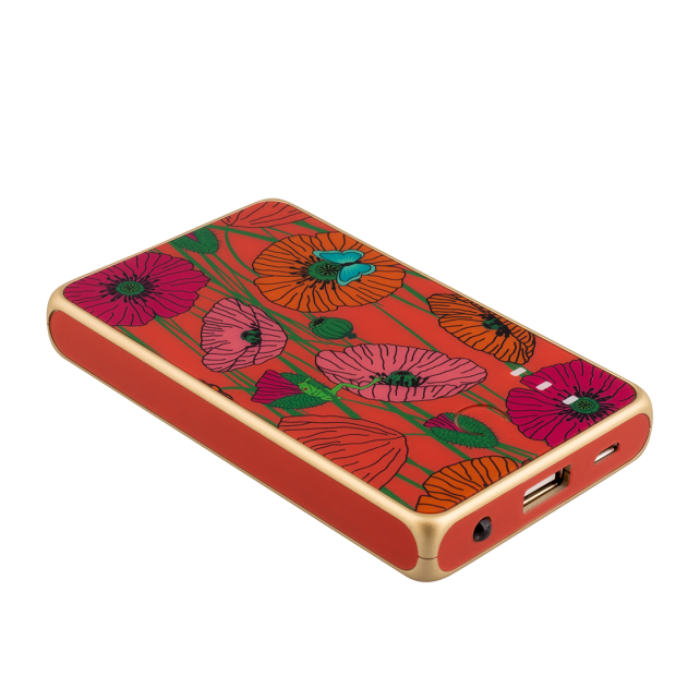 Batterie externe nomade 5000mAh - Get The Power 4