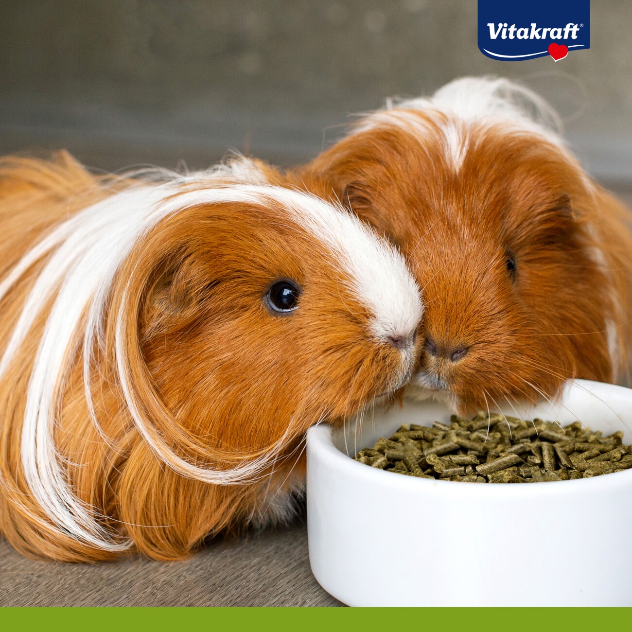 Vitakraft Pellets Meerschweinchen 1 kg