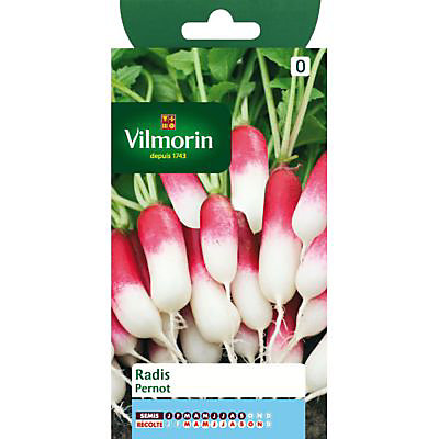 Graines de Radis Pernot Vilmorin