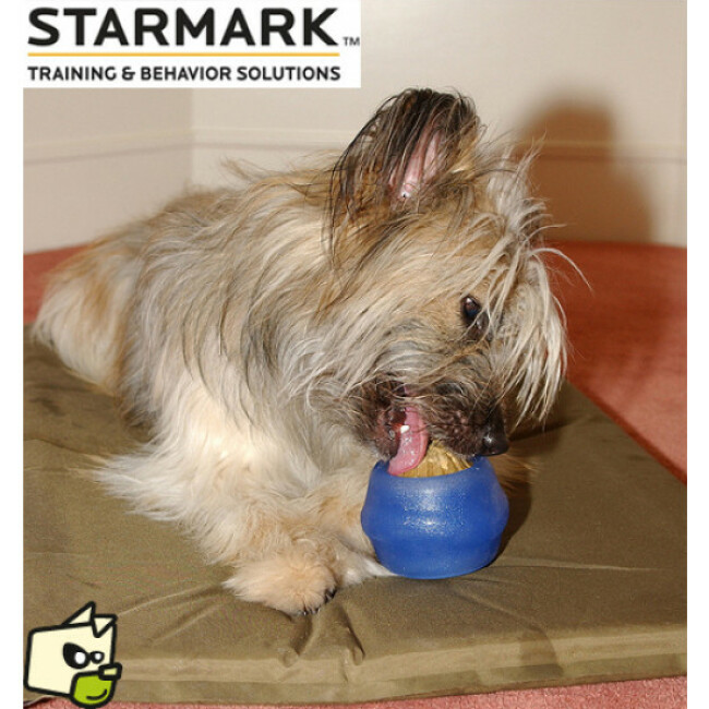 Jouet Everlasting Starmark hyper résistant pour chien