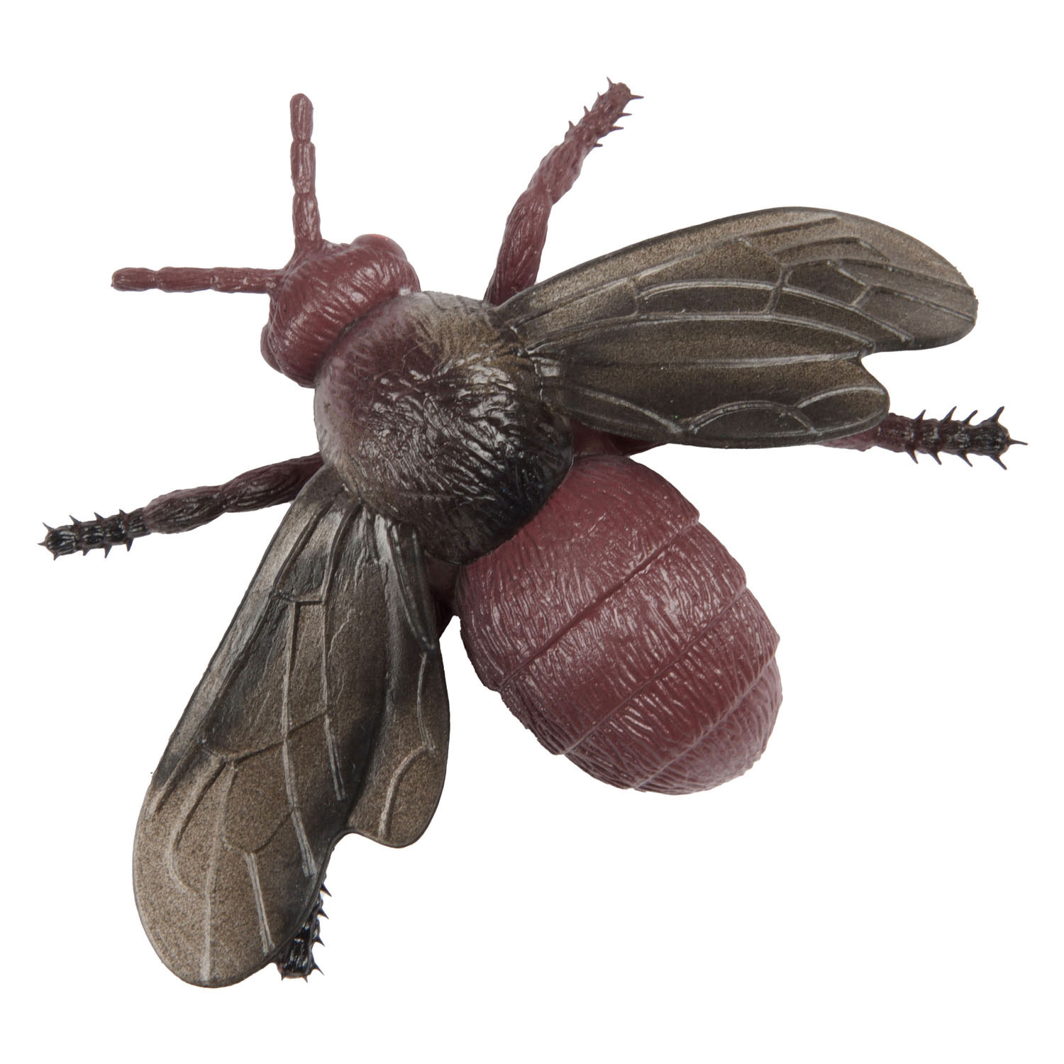Animal World Grote Griezel Insect