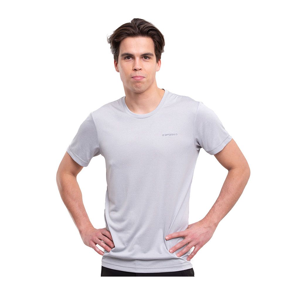 Icepeak BEARDEN - Tee-shirt Homme steam