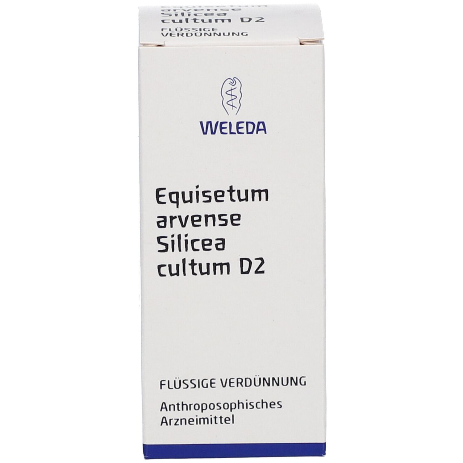 Equisetum arvense Silic. cult. D2 Dilution