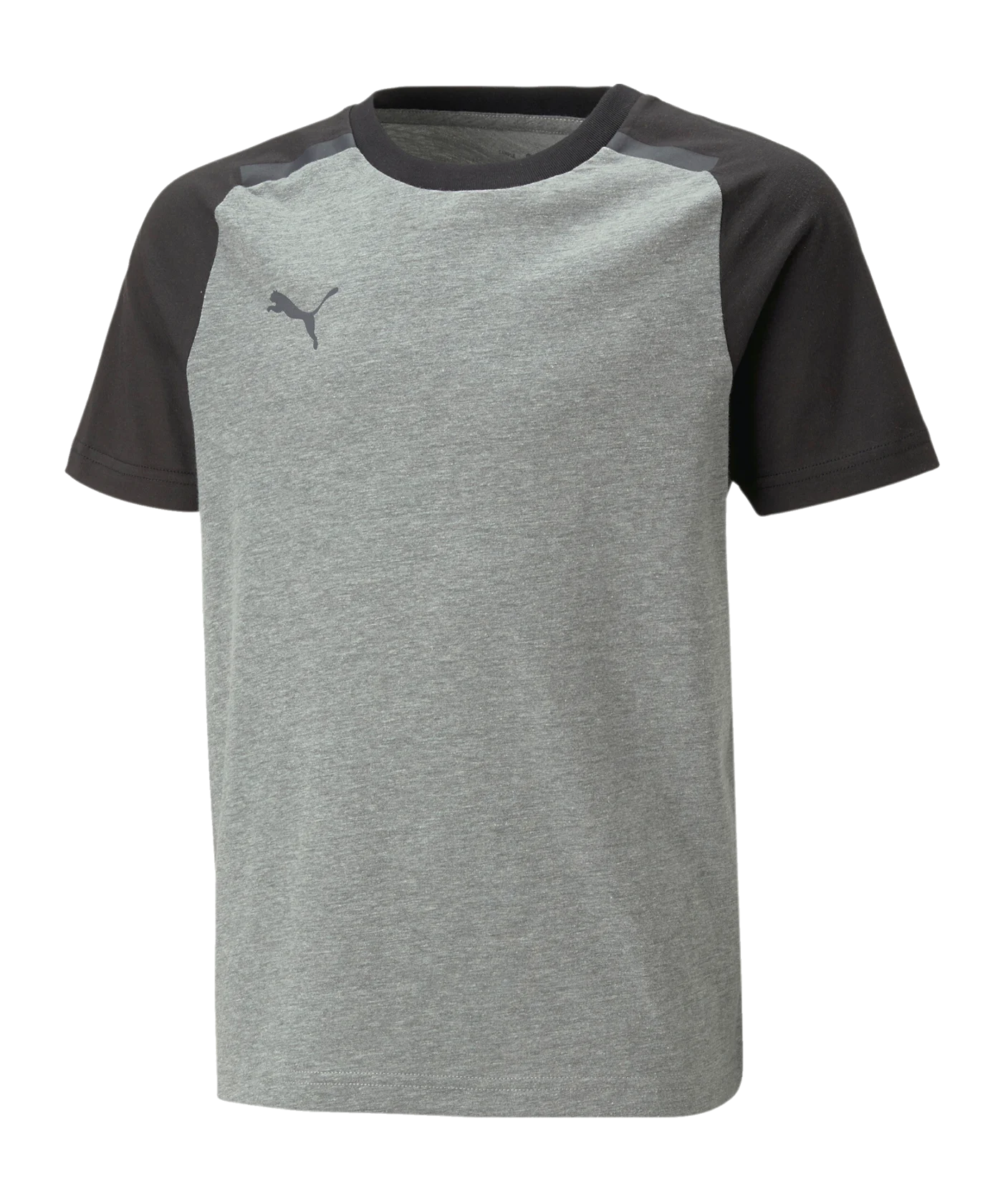 PUMA teamCUP Casuals T-Shirt Kids Grau F13