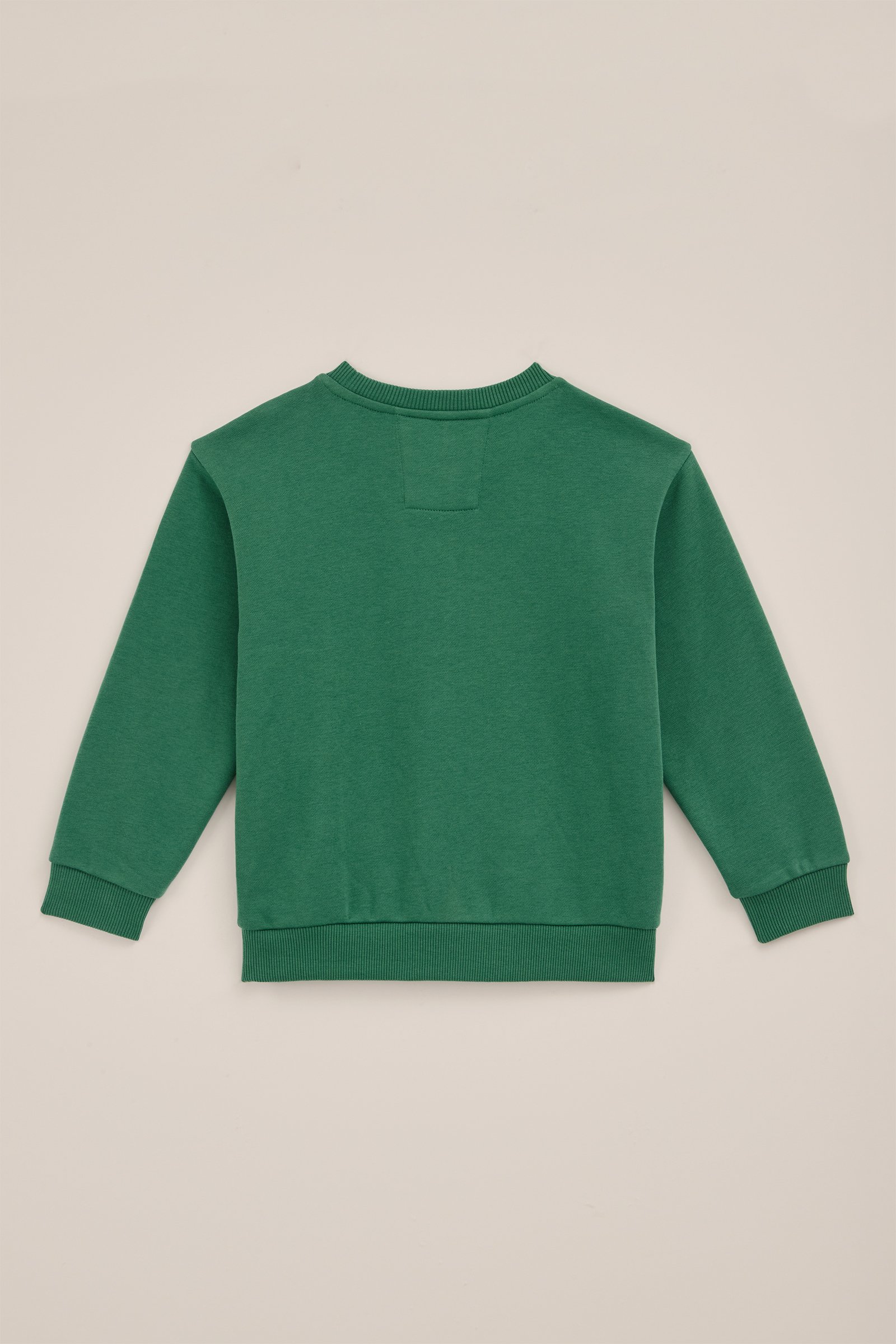 Jongens sweater met opdruk WE Fashion Groen