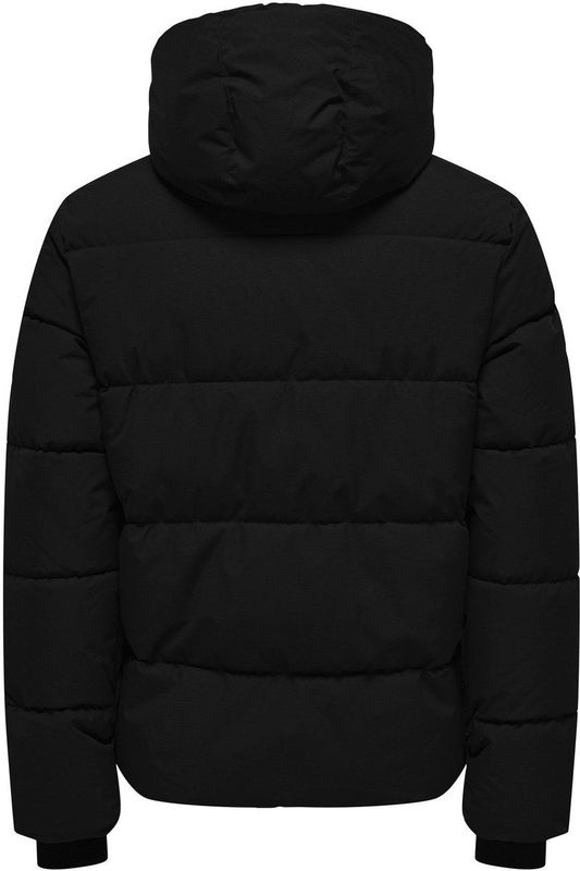 ONLY & SONS - Jas - Winterjassen