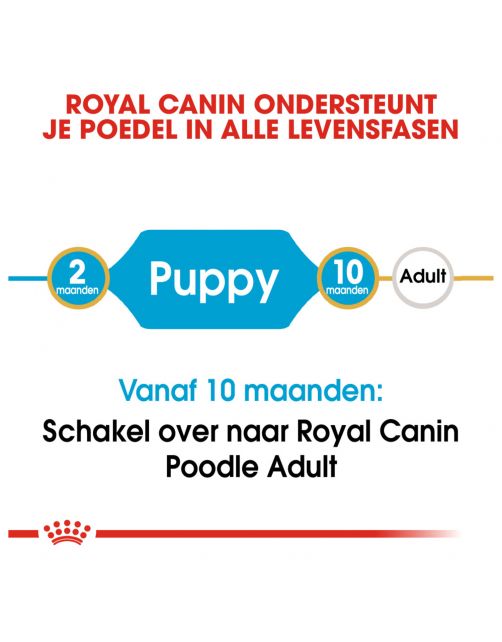 Royal Canin Poodle - Puppy-Hondenvoer - 3 kg