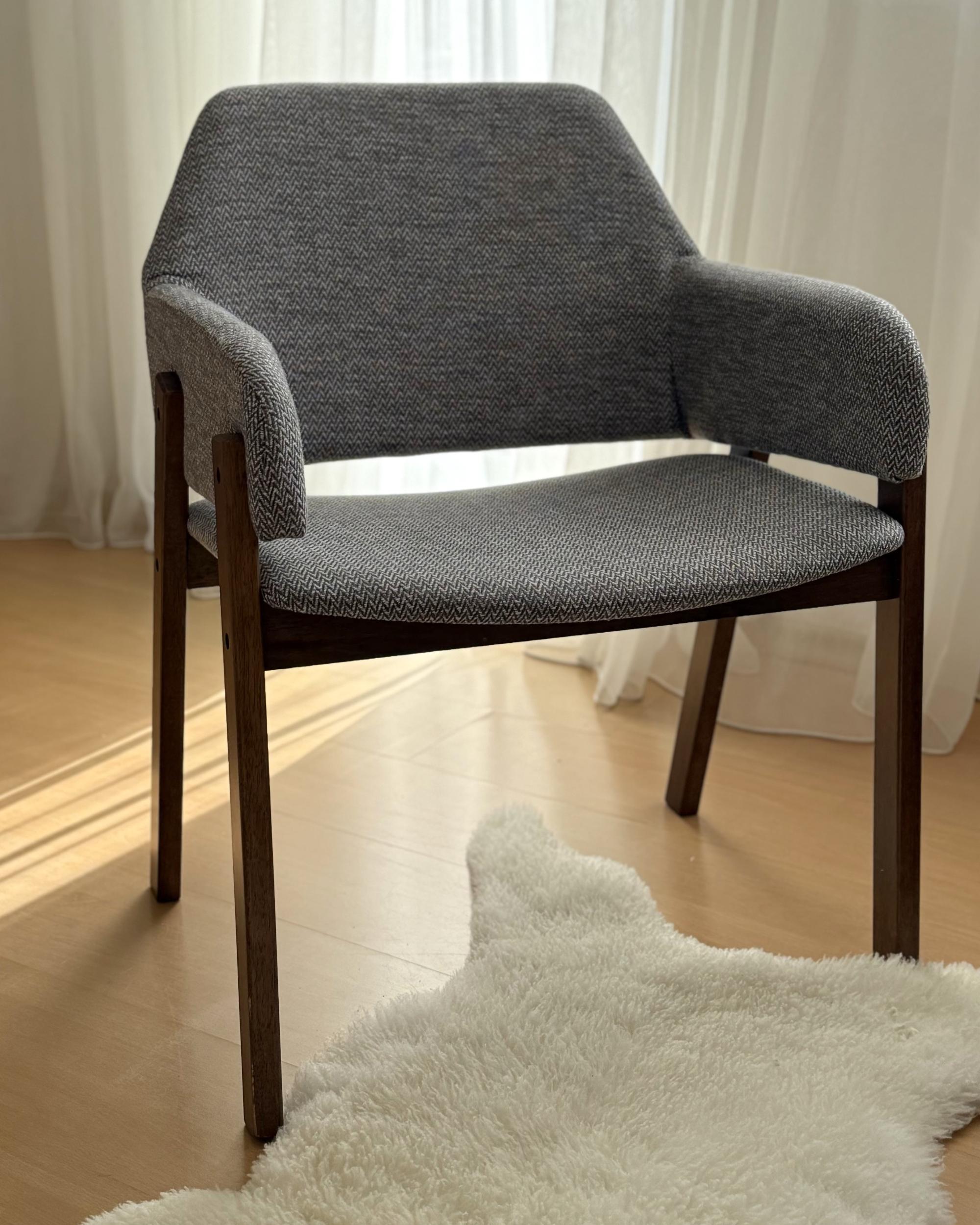 Set van 2 eetkamerstoelen ALBION Grijs