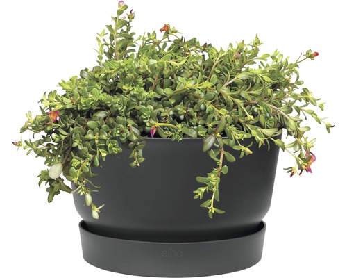 Greenville plantenbak Ø 33 H 19,5 cm zwart vorstbestendig